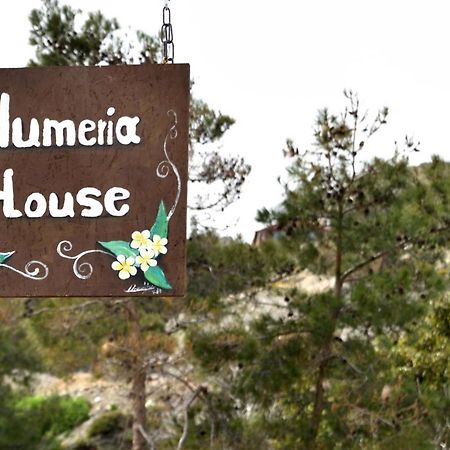 Plumeria House Archangelos  Luaran gambar